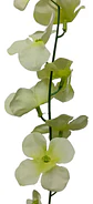 Enredadera 1 Paquete 210cm Hoja Mata Flores Rosas  - Miniatura 13
