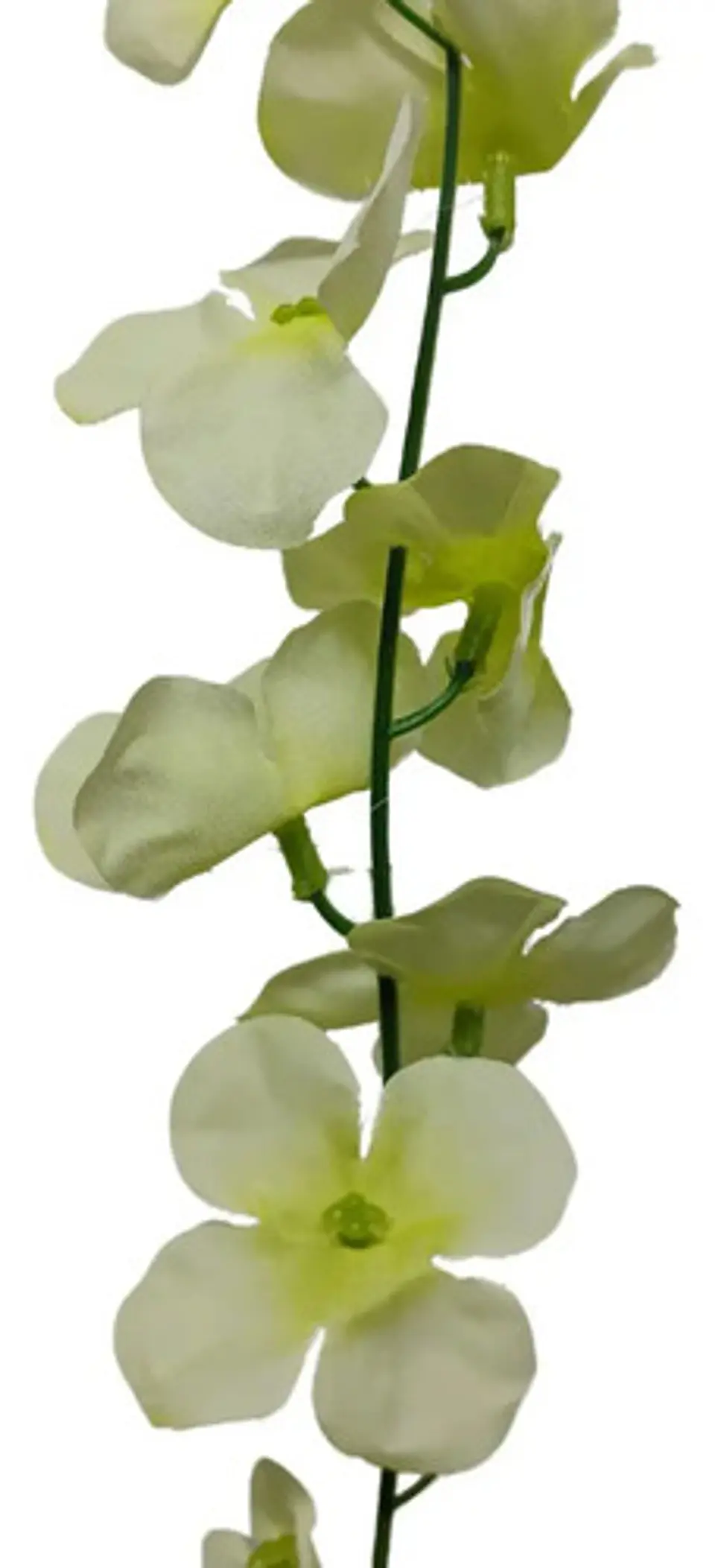 Enredadera 1 Paquete 210cm Hoja Mata Flores Rosas  13