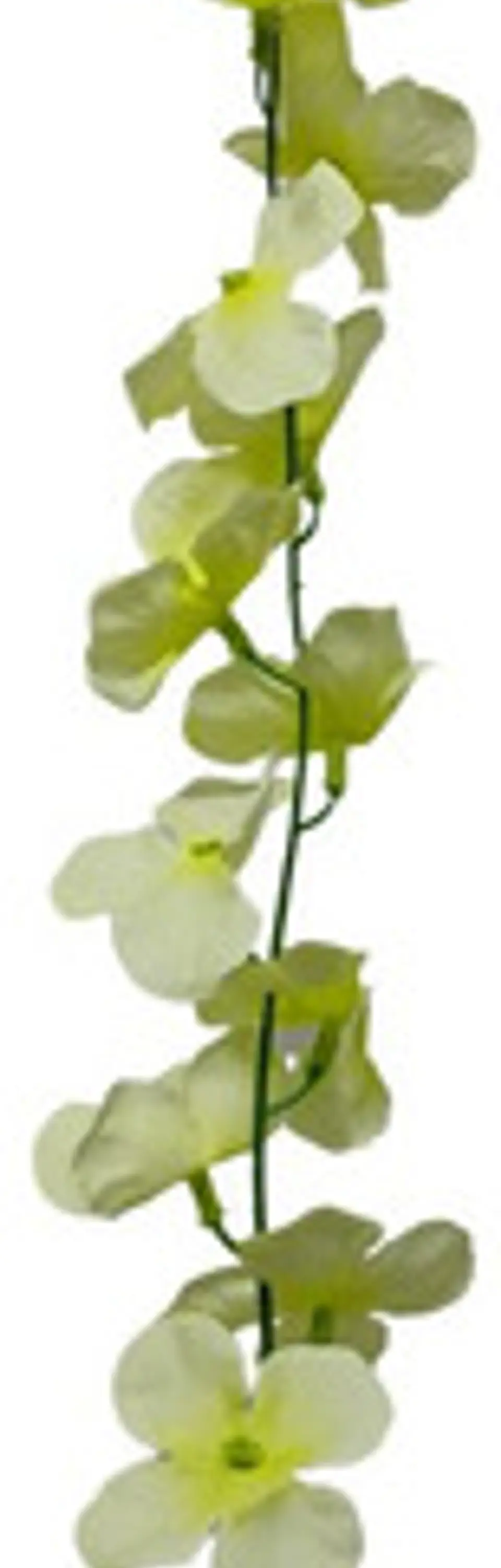 Enredadera 1 Paquete 210cm Hoja Mata Flores Rosas  14