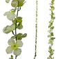 Enredadera 1 Paquete 210cm Hoja Mata Flores Rosas  - Miniatura 16