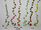  Flores Enredadera 1 Paquete 210cm Hoja Mata Rosas  - Miniatura 5