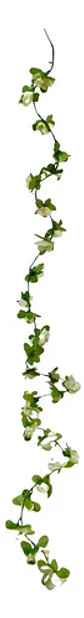  Flores Enredadera 1 Paquete 210cm Hoja Mata Rosas  - Miniatura 7