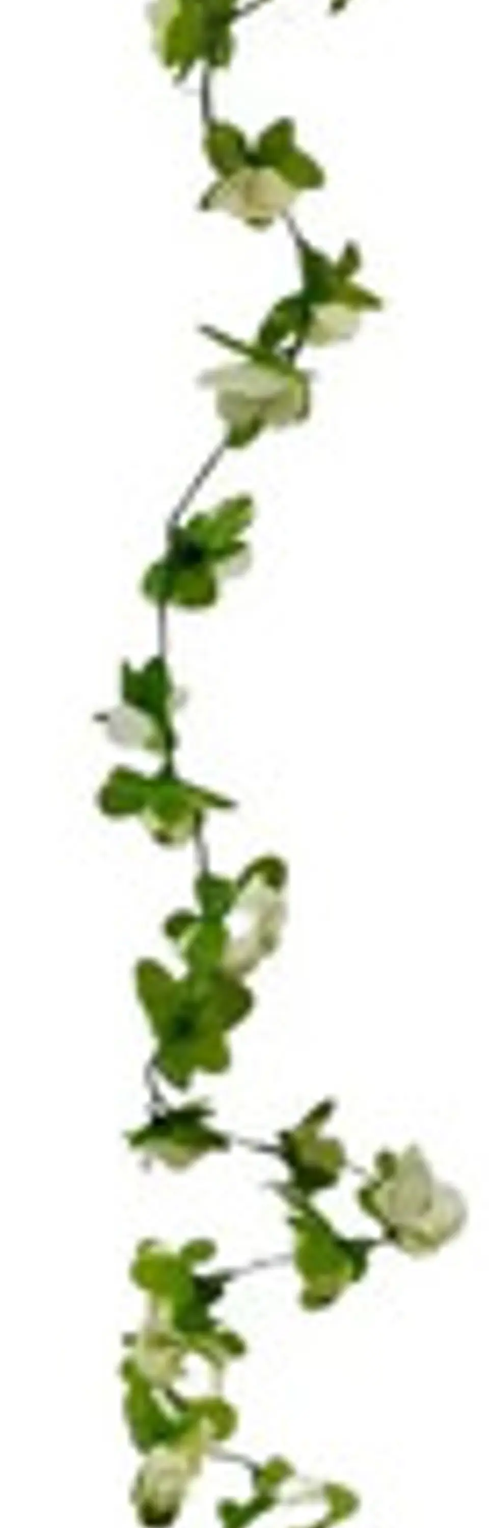  Flores Enredadera 1 Paquete 210cm Hoja Mata Rosas  7