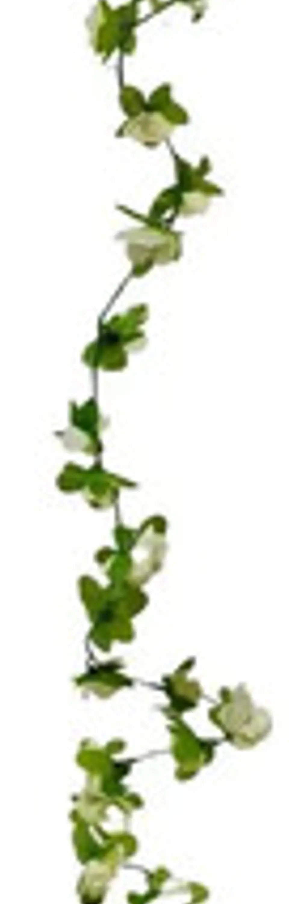  Flores Enredadera 1 Paquete 210cm Hoja Mata Rosas  12