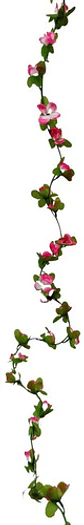  Flores Enredadera 1 Paquete 210cm Hoja Mata Rosas  - Miniatura 24