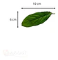 Mata Balazo Artificial Flor De Decoración  Arboricola  - Miniatura 2