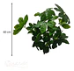 Mata Balazo Artificial Flor De Decoración  Arboricola  - Miniatura 4