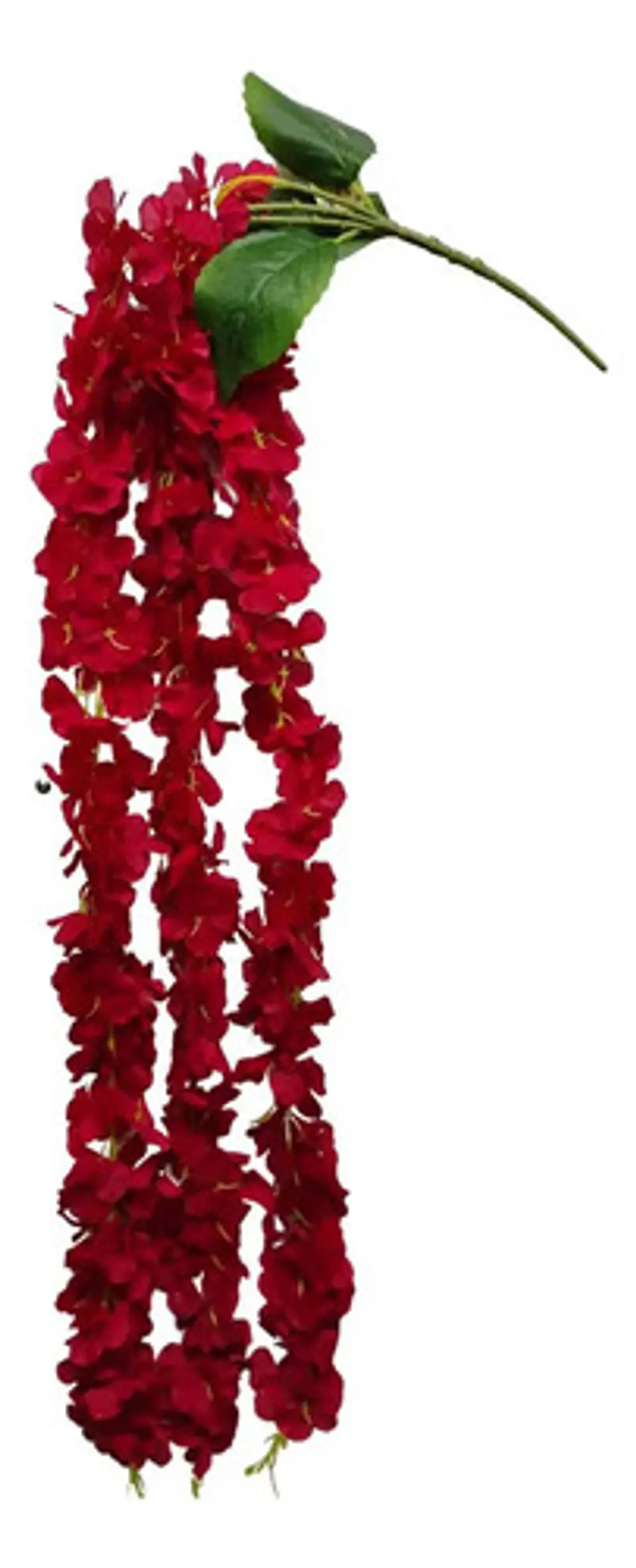 Enredadera Flor 1 Helecho 105 Cm Hoja Mata Rosas  2