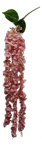 Enredadera Flor 1 Helecho 105 Cm Hoja Mata Rosas  - Miniatura 3