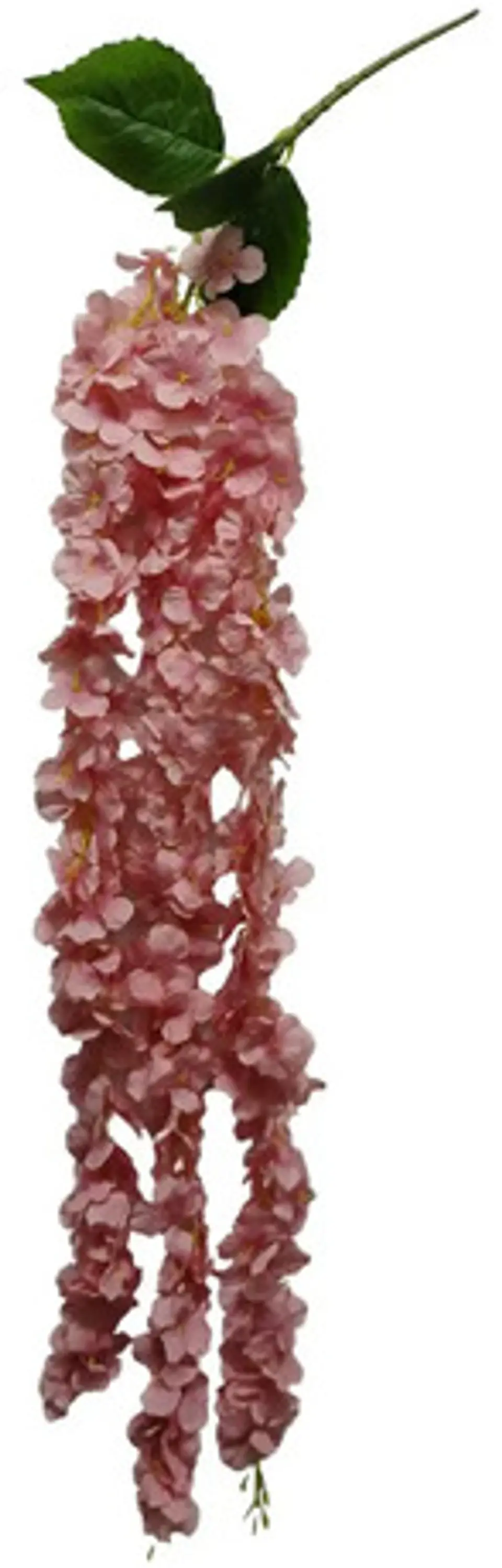 Enredadera Flor 1 Helecho 105 Cm Hoja Mata Rosas  3