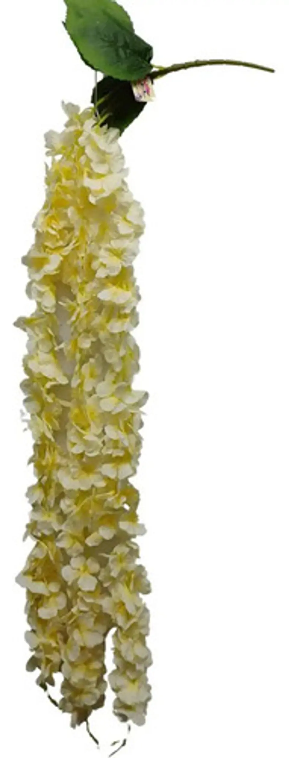 Enredadera Flor 1 Helecho 105 Cm Hoja Mata Rosas  6