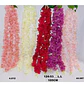 Enredadera Flor 1 Helecho 105 Cm Hoja Mata Rosas  - Miniatura 7