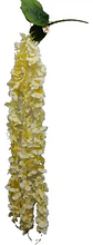 Enredadera Flor 1 Helecho 105 Cm Hoja Mata Rosas  - Miniatura 9