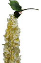 Enredadera Flor 1 Helecho 105 Cm Hoja Mata Rosas  - Miniatura 10