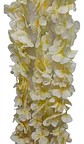 Enredadera Flor 1 Helecho 105 Cm Hoja Mata Rosas  - Miniatura 11