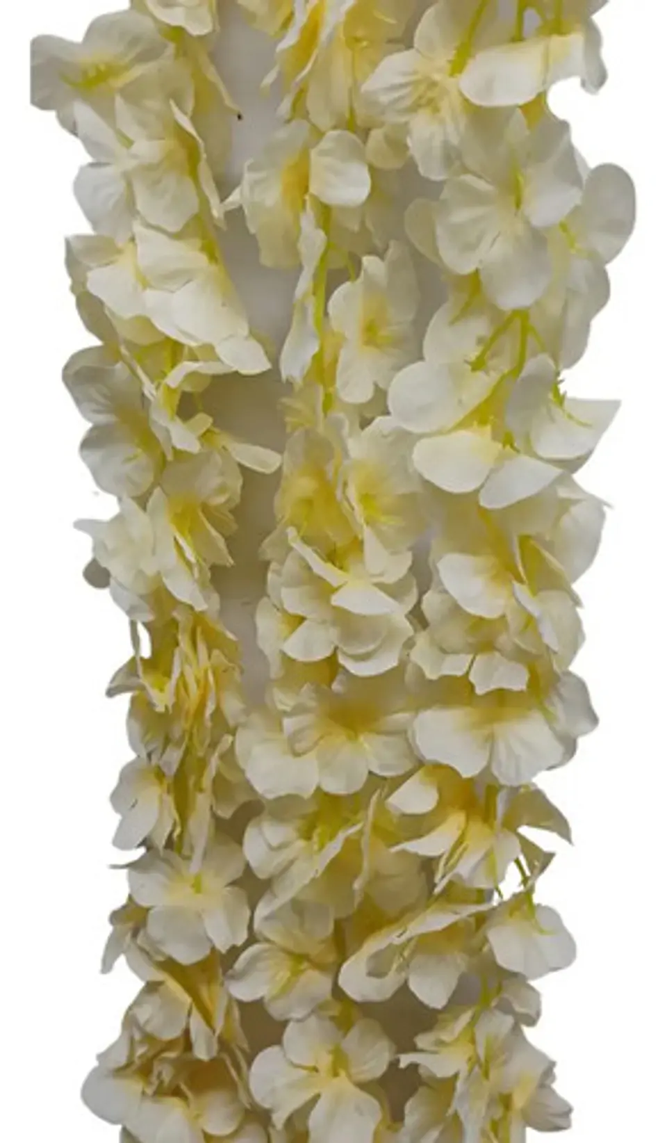 Enredadera Flor 1 Helecho 105 Cm Hoja Mata Rosas  11