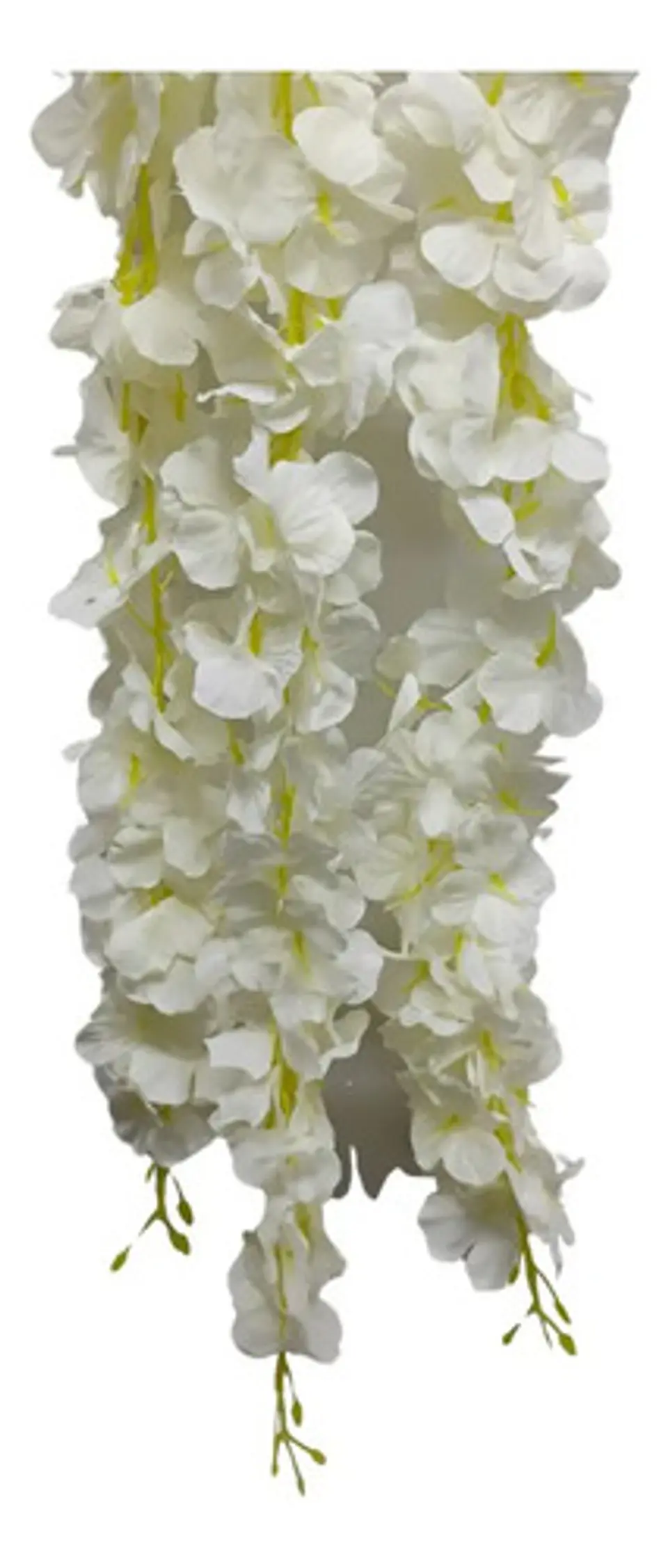Enredadera Flor 1 Helecho 105 Cm Hoja Mata Rosas  13