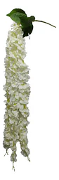Enredadera Flor 1 Helecho 105 Cm Hoja Mata Rosas  - Miniatura 14