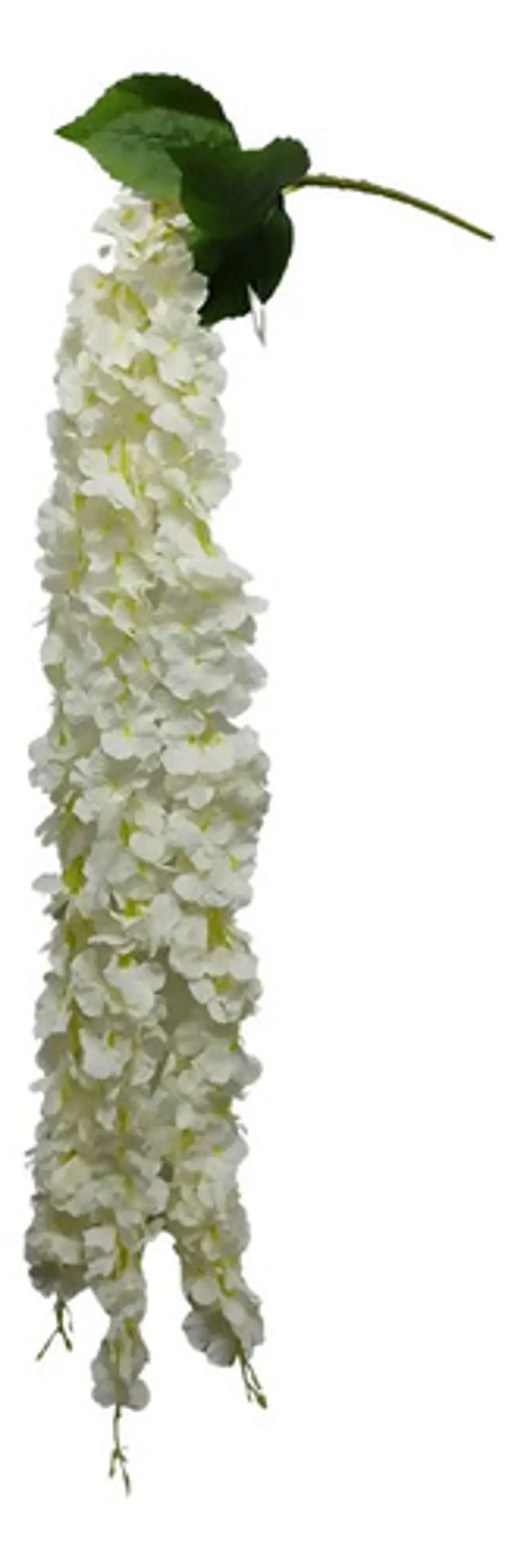 Enredadera Flor 1 Helecho 105 Cm Hoja Mata Rosas  14