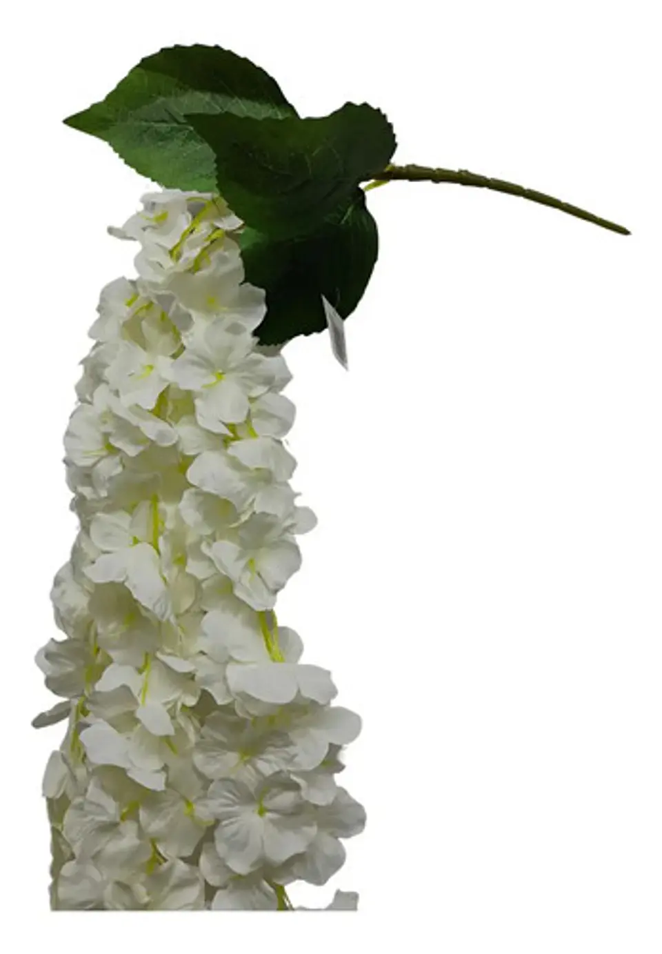 Enredadera Flor 1 Helecho 105 Cm Hoja Mata Rosas  15