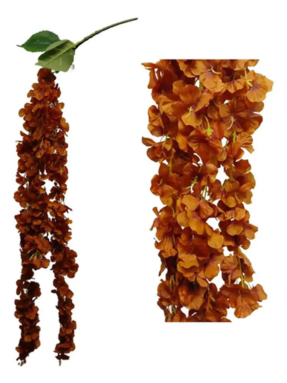 Enredadera Flor 1 Helecho 105 Cm Hoja Mata Rosas  16