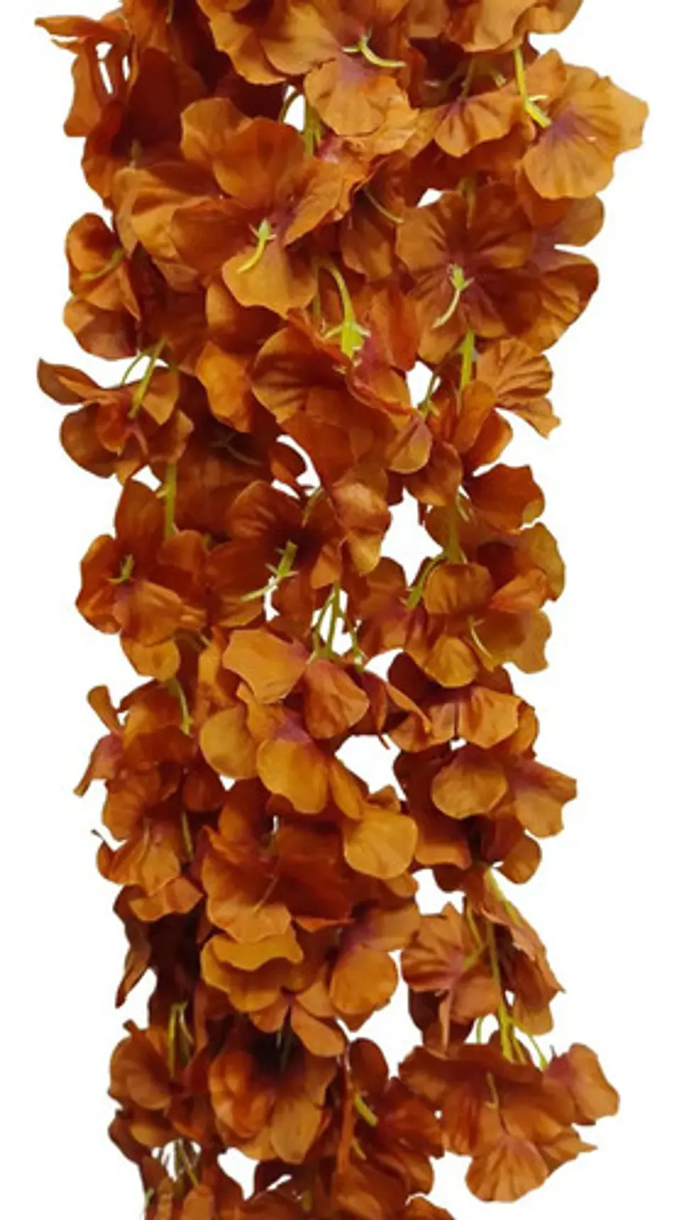 Enredadera Flor 1 Helecho 105 Cm Hoja Mata Rosas  17