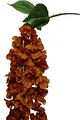 Enredadera Flor 1 Helecho 105 Cm Hoja Mata Rosas  - Miniatura 19