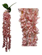 Enredadera Flor 1 Helecho 105 Cm Hoja Mata Rosas  - Miniatura 20