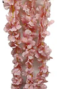Enredadera Flor 1 Helecho 105 Cm Hoja Mata Rosas  - Miniatura 21
