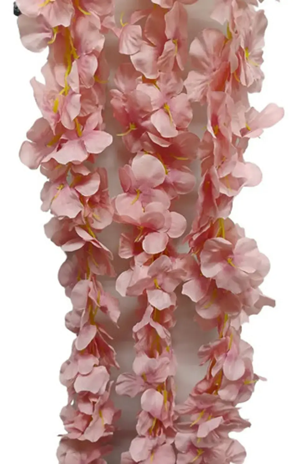 Enredadera Flor 1 Helecho 105 Cm Hoja Mata Rosas  21
