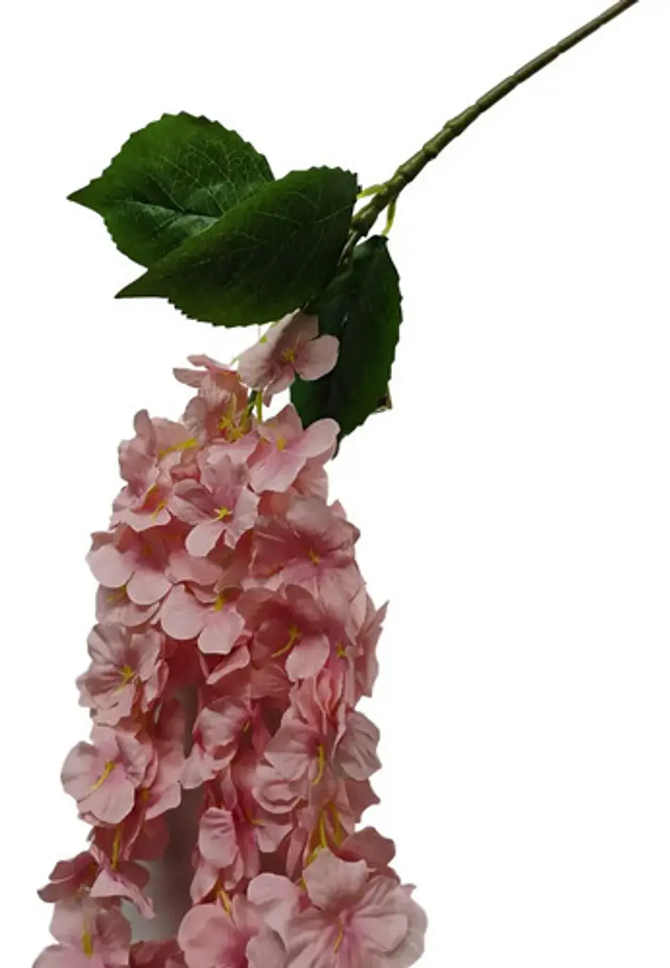 Enredadera Flor 1 Helecho 105 Cm Hoja Mata Rosas  22