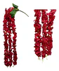 Enredadera Flor 1 Helecho 105 Cm Hoja Mata Rosas  - Miniatura 24
