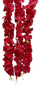 Enredadera Flor 1 Helecho 105 Cm Hoja Mata Rosas  - Miniatura 26