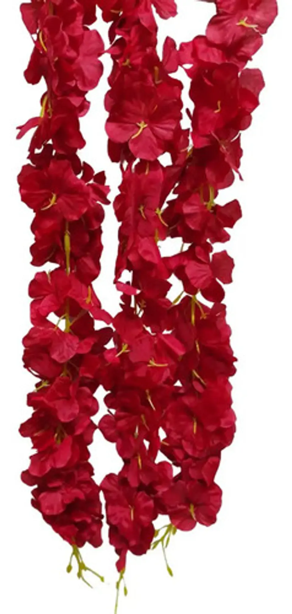 Enredadera Flor 1 Helecho 105 Cm Hoja Mata Rosas  26