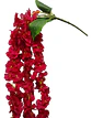 Enredadera Flor 1 Helecho 105 Cm Hoja Mata Rosas  - Miniatura 27