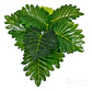 Mata Balazo Artificial Flor De Decoración Centro De Mesa - Miniatura 13