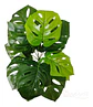 Mata Balazo Artificial Flor De Decoración Centro De Mesa - Miniatura 18