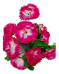Ramo Clavel  Flores Artificiales Decoración  - Miniatura 6