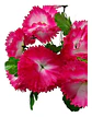 Ramo Clavel  Flores Artificiales Decoración  - Miniatura 19