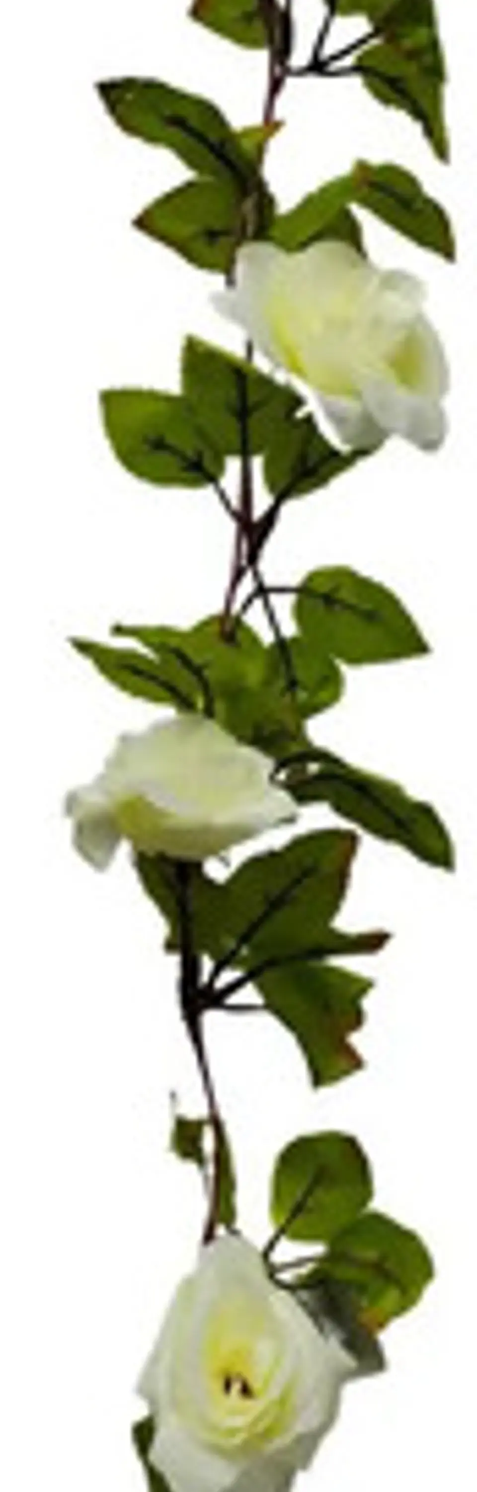 Enredadera Flor 1 Jardin 200cm Hoja Mata Rosas 2