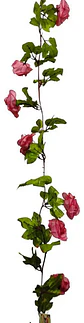 Enredadera Flor 1 Jardin 200cm Hoja Mata Rosas - Miniatura 4