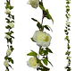 Enredadera Flor 1 Jardin 200cm Hoja Mata Rosas - Miniatura 6