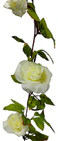 Enredadera Flor 1 Jardin 200cm Hoja Mata Rosas - Miniatura 7