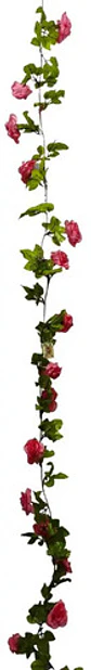 Enredadera Flor 1 Jardin 200cm Hoja Mata Rosas - Miniatura 10