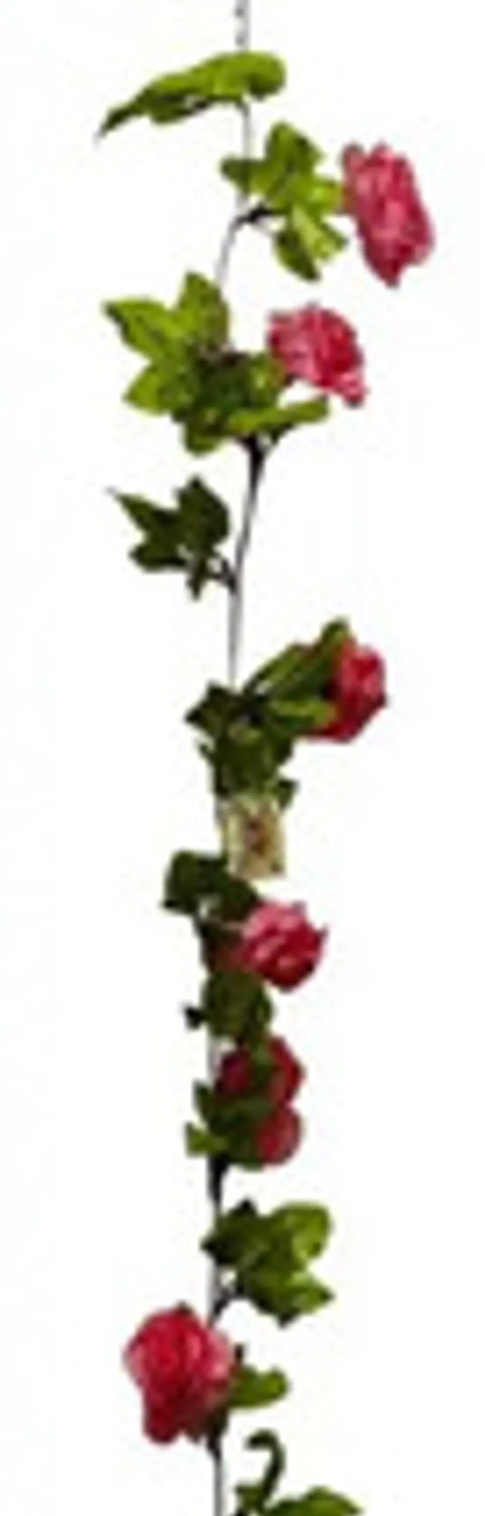 Enredadera Flor 1 Jardin 200cm Hoja Mata Rosas 10