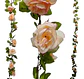 Enredadera Flor 1 Jardin 200cm Hoja Mata Rosas - Miniatura 14