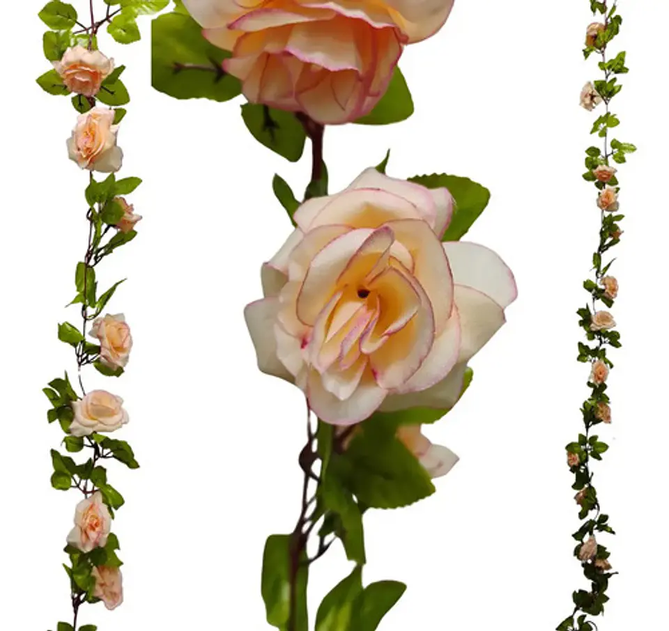 Enredadera Flor 1 Jardin 200cm Hoja Mata Rosas 14