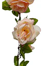 Enredadera Flor 1 Jardin 200cm Hoja Mata Rosas - Miniatura 15