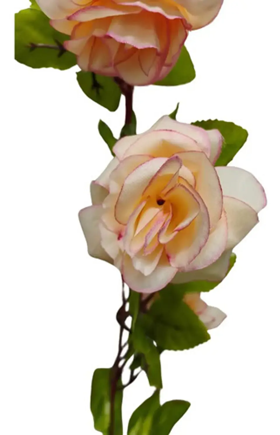 Enredadera Flor 1 Jardin 200cm Hoja Mata Rosas 15