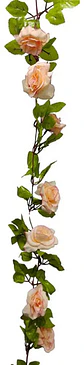 Enredadera Flor 1 Jardin 200cm Hoja Mata Rosas - Miniatura 16